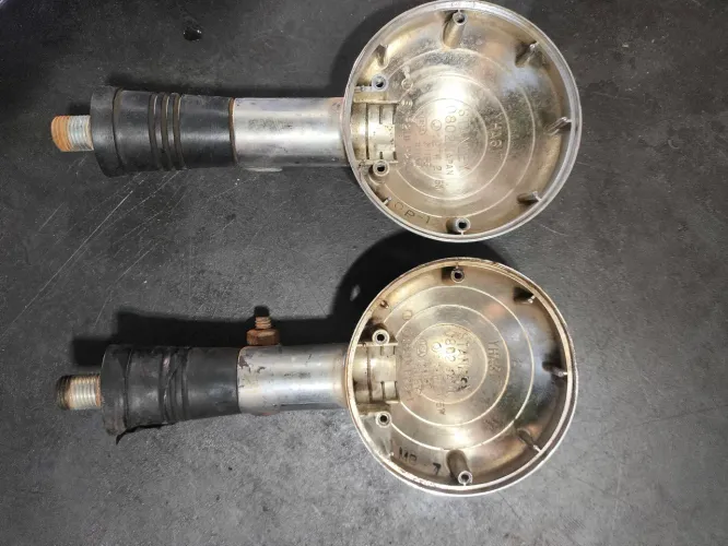 Pisca virago 250