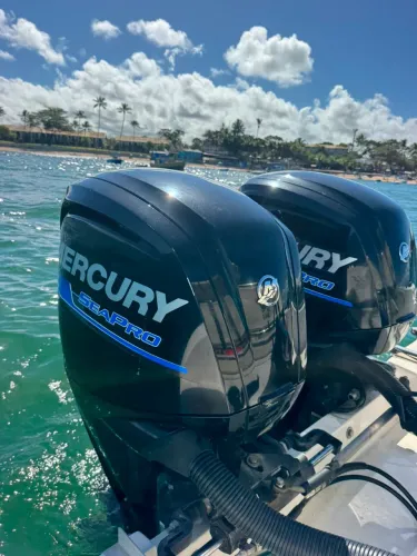 Parelha Motor Mercury Seapro 115 HP