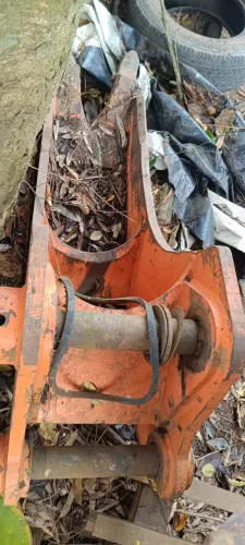 Concha de Rancar Toco Eucalipto