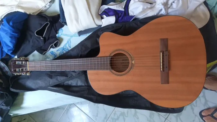 Violão Michael elétrico 