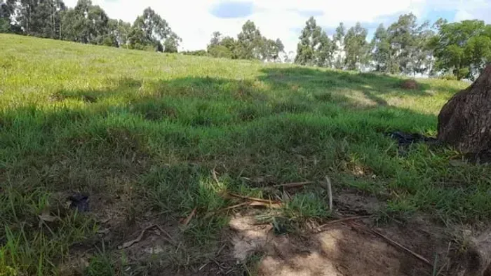 Sítio 5 alqueires ,casa ttop