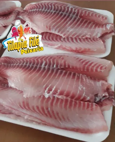 Filé tilapia