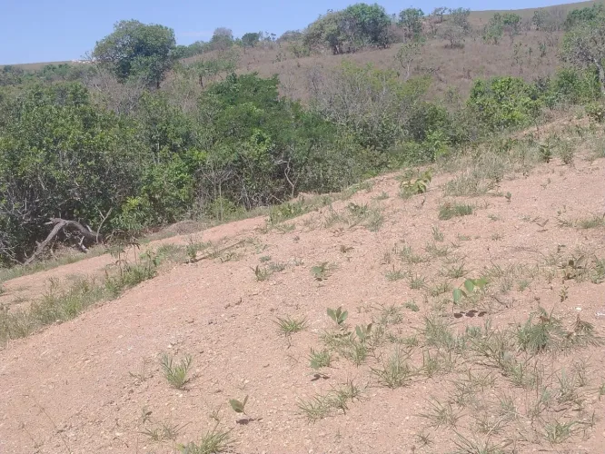 vendo terreno estudo proposta ,fica próximo a Ibiá 
