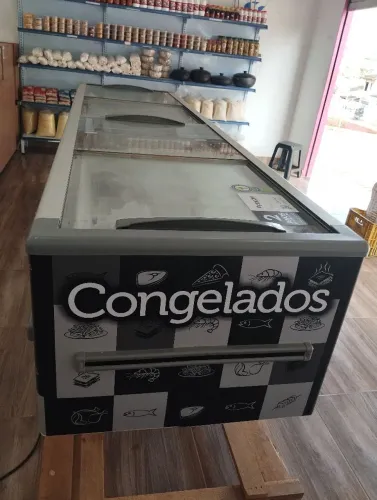Ilha de congelados 820 litros fricon preta 220V