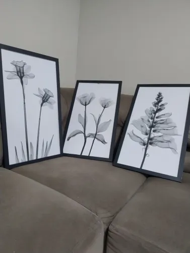 3 Quadros pra sala