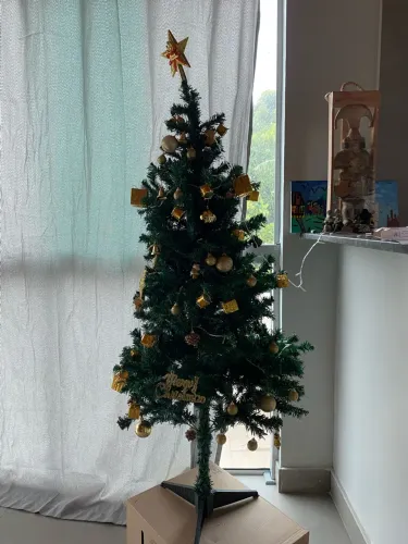 Vendo árvore de Natal