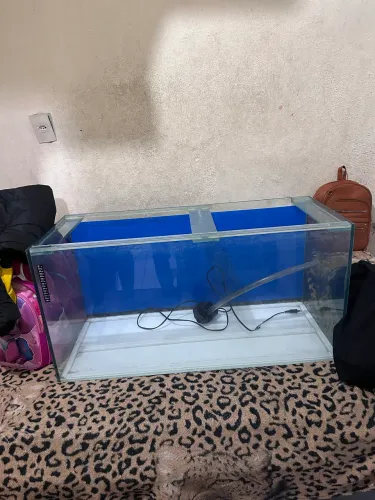 Aquário 200 litros é bomba salonbetter
