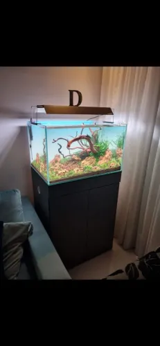 Aquário e móvel para aquapaisagismo 