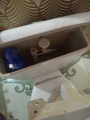Vaso e pia 300