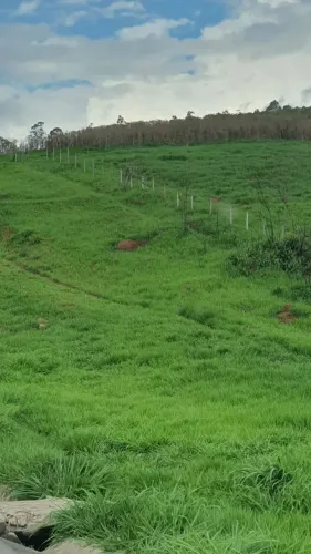 Construa sua casa de campo perto de São Roque