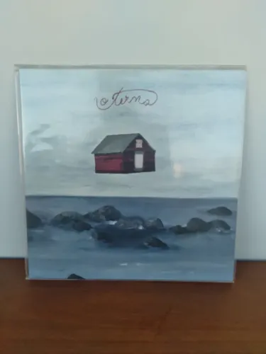 Vinil música