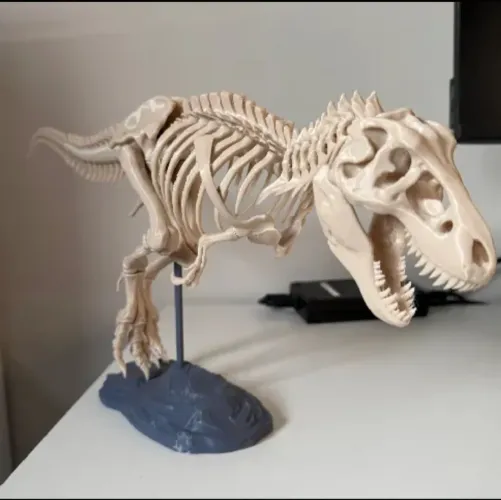 Esqueleto realista de T-REX