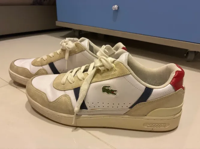 Sapato Lacoste custo benefício