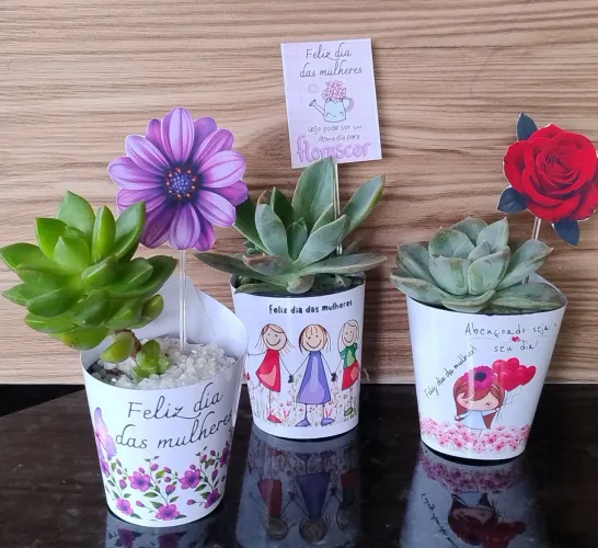 Suculentas para o dia das mulheres 