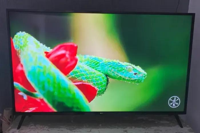 Smart TV LG 55 polegadas 4K UHD + Controle Smart Magic - Perfeita