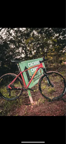 Bicicleta oggi mtb aro 29
