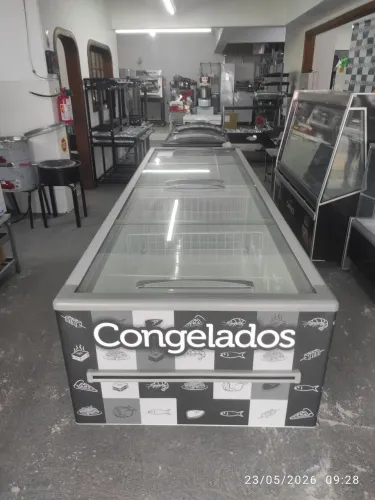 Bh Ilha expositora de congelados 