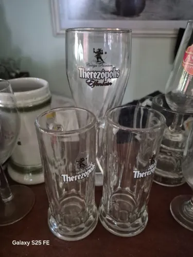 3 Tulipas Tacas Canecas de cerveja Chopp cervejaria Therezopolis
