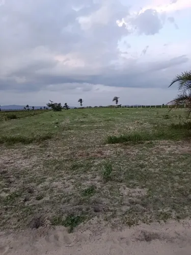 TERRENO DE 1 HECTARE 