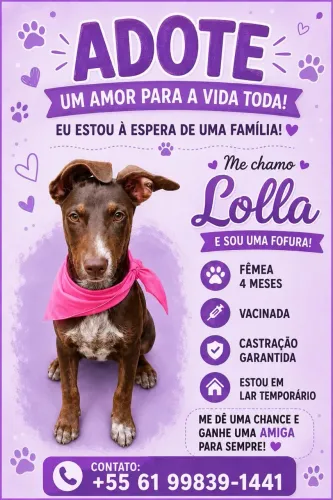 Cachorra