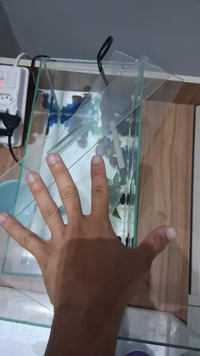 Aquário 10 litros