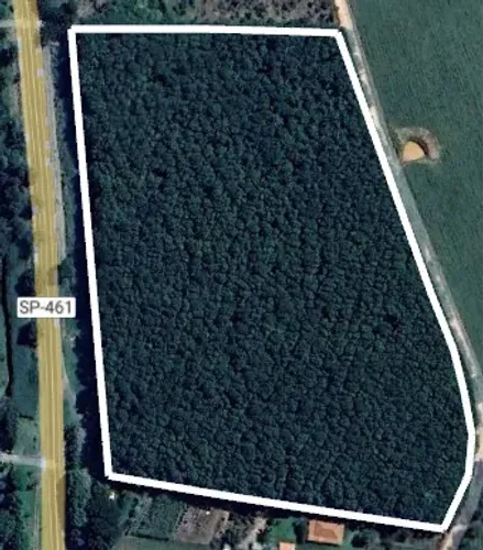 2 aqueires seringa no asfalto 2 km da cidade