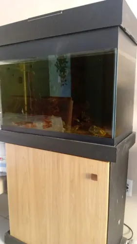 Aguario com filtro e móvel