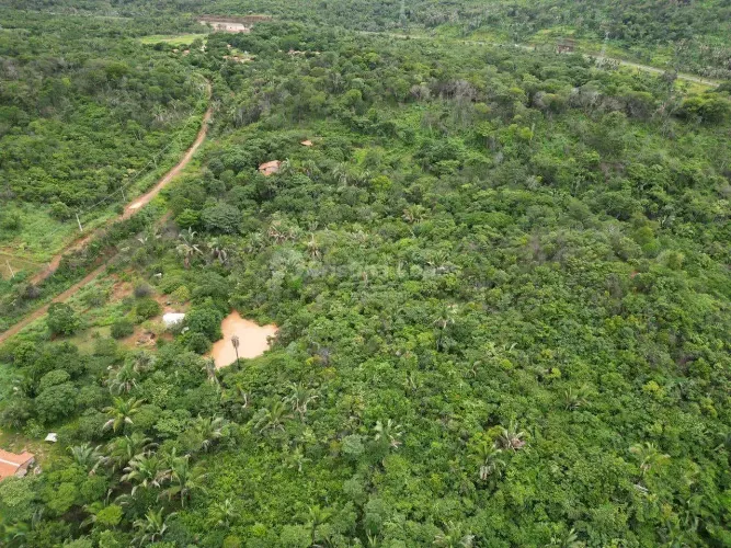 Sítio à venda, Taboca do Pau Ferrado, Zona Rural, Teresina, PI