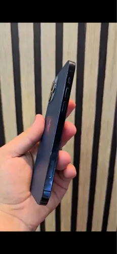 12 pro