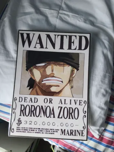 Quadro One Piece Zoro