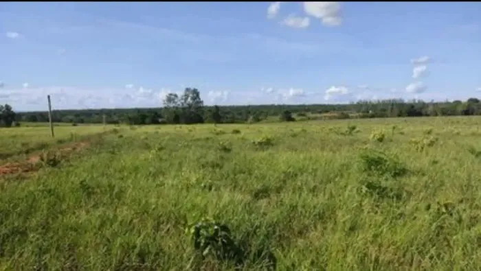 COD321- Fazenda 102 HECTARES- ROCHEDO/MS.
