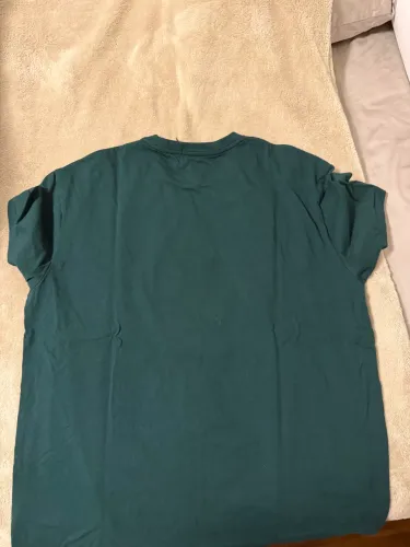 Camiseta polo Ralph Lauren bear 