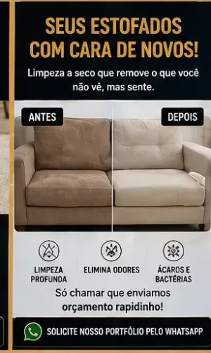 Elimine Ácaros e Manchas com Segurança