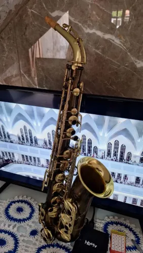 Sax alto galasso 