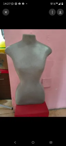 VENDO MANEQUINS ( BUSTOS)