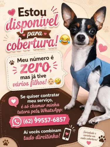 Pinscher para cobertura