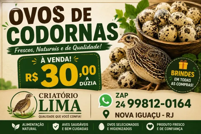 Ovos de Codornas Gigante