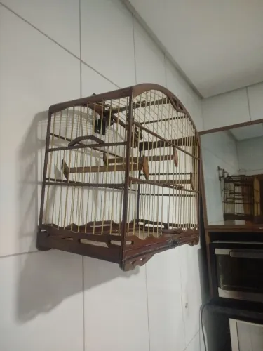 Passeador malha larga 