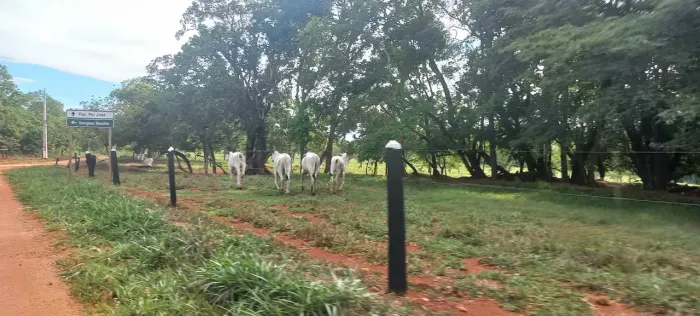 FAZENDINHAS Financiadas em Paraopeba, 24x=de R$1.600,00 mais parcelas