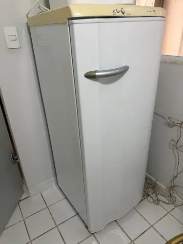 Geladeira 110v