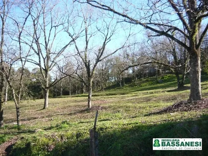 Terreno São Caetano Caxias do Sul