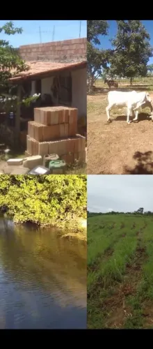 Água de Rio em Abundância /sitio 4,2 Alqueires  60 minutos do Major Prates ..