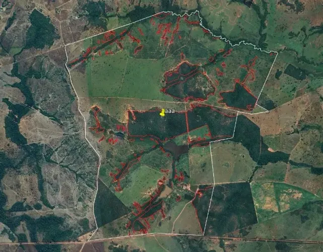 Fazenda Dupla Aptidão a venda no Norte do Goiás em Porangatu com 1.083 hectares