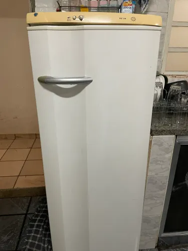Vendo geladeira 110v