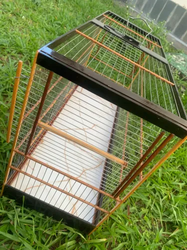 Voador 70cm 