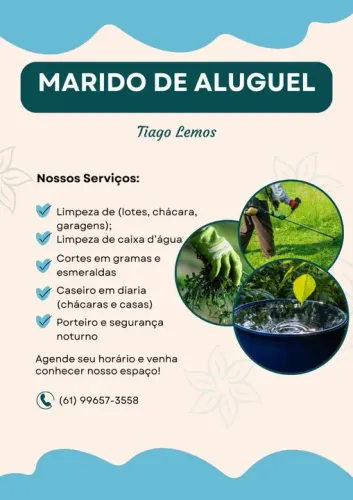Marido de aluguel 