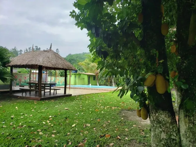 Sítio em Mazomba Itaguaí RJ