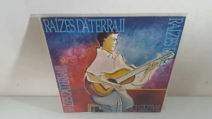 Vinil Raízes da Terra