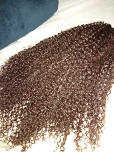 Cabelo Rabo de Cavalo Cacheado Castanho
