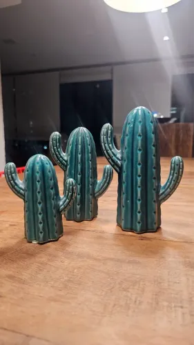 Kit Cactos cerâmica